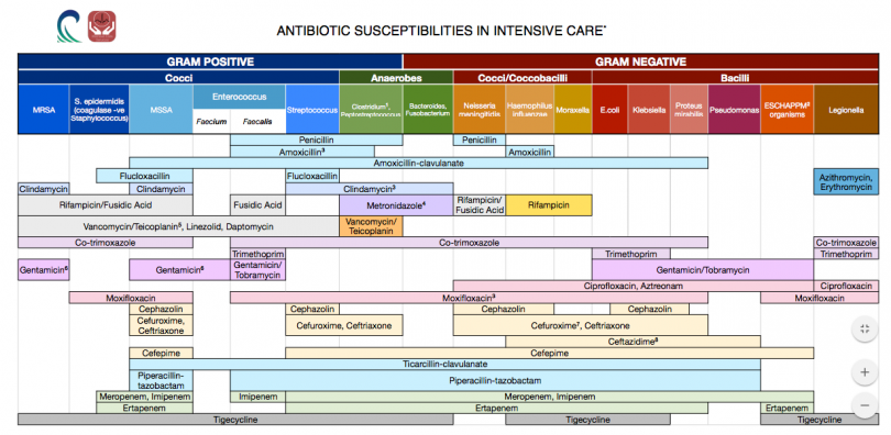 Antibiotic Spectrum Chart Phartoonz   AB Spectra 810x396 