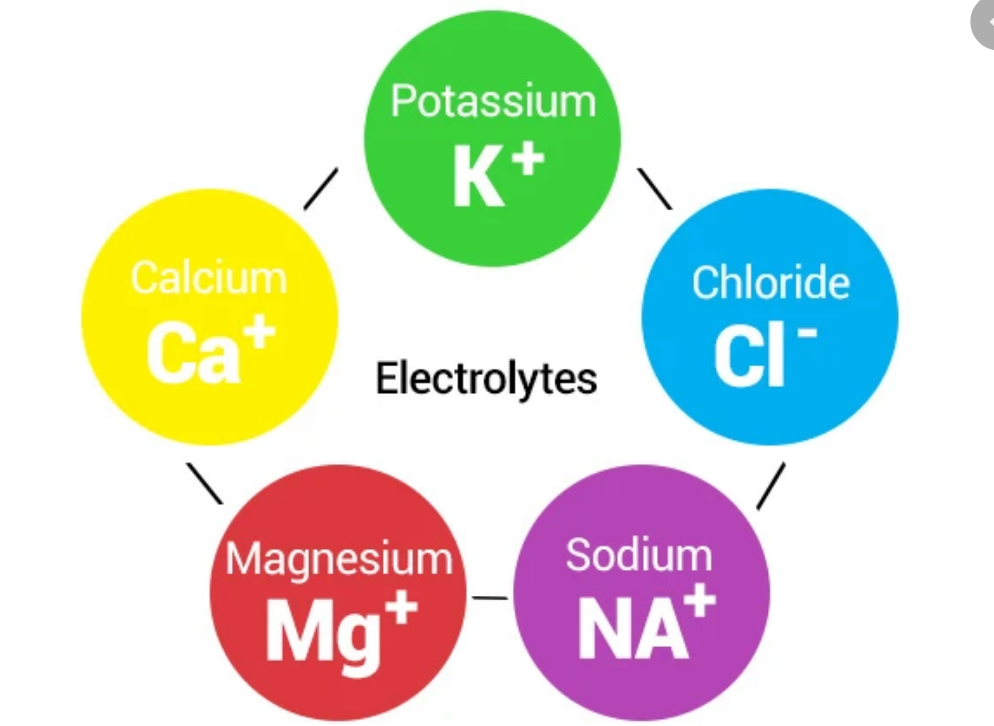 List Of Electrolytes And Their Normal Range Phartoonz