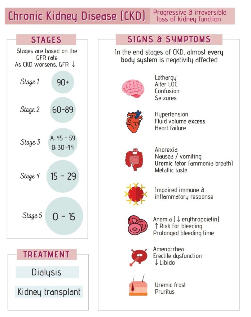 Kidney Diseases Charts At A Glance - Phartoonz